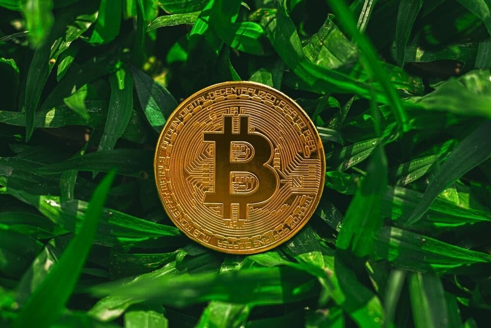 SBP Mention in ImpactAlpha